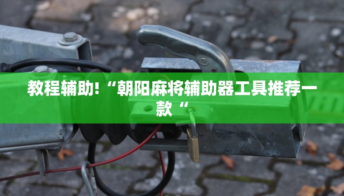 教程辅助!“朝阳麻将辅助器工具推荐一款“