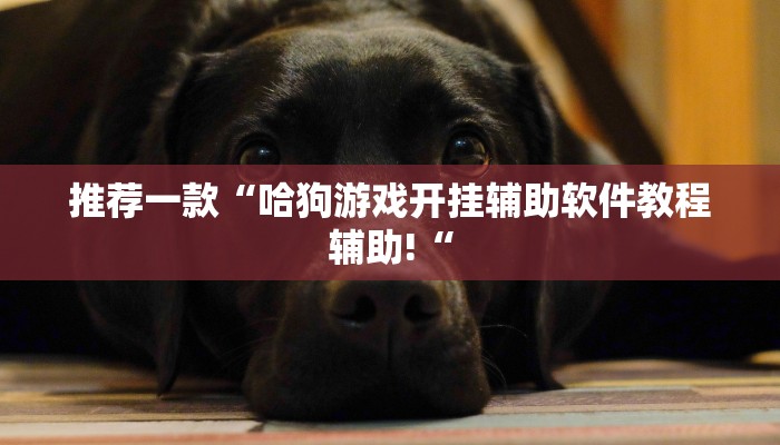推荐一款“哈狗游戏开挂辅助软件教程辅助!“