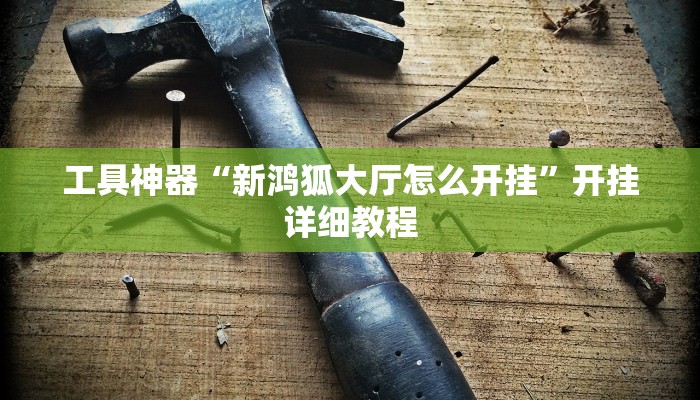 工具神器“新鸿狐大厅怎么开挂”开挂详细教程