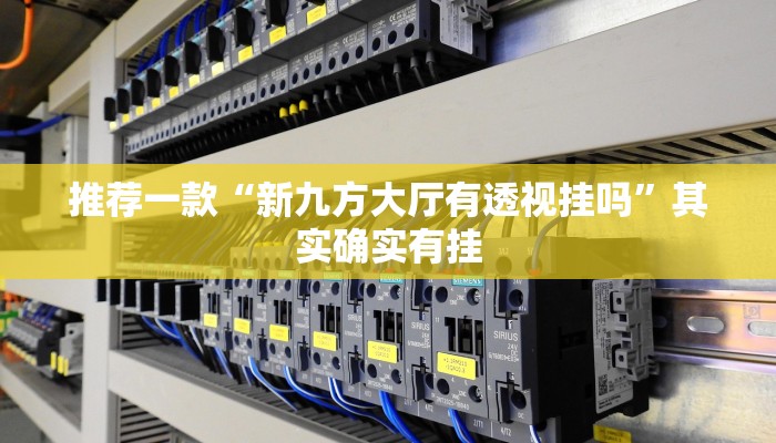 推荐一款“新九方大厅有透视挂吗”其实确实有挂