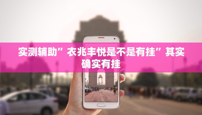 实测辅助”衣兆丰悦是不是有挂”其实确实有挂