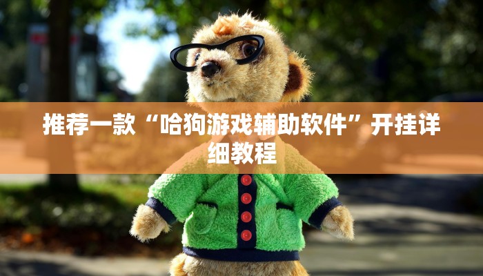 推荐一款“哈狗游戏辅助软件”开挂详细教程