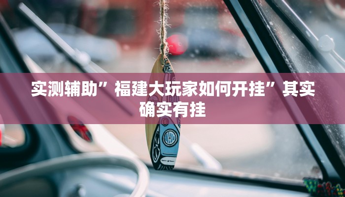 实测辅助”福建大玩家如何开挂”其实确实有挂