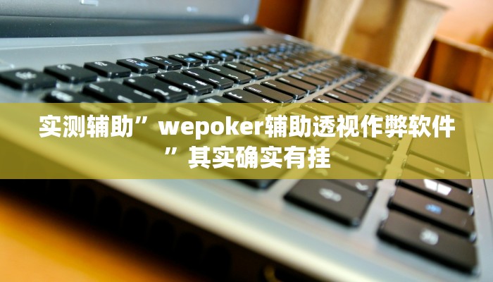 实测辅助”wepoker辅助透视作弊软件”其实确实有挂