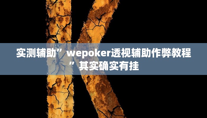 实测辅助”wepoker透视辅助作弊教程”其实确实有挂