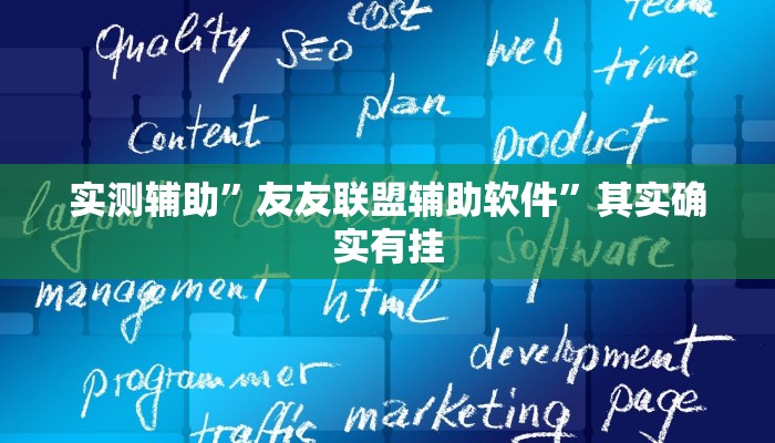 实测辅助”友友联盟辅助软件”其实确实有挂