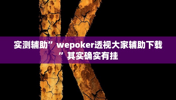 实测辅助”wepoker透视大家辅助下载”其实确实有挂