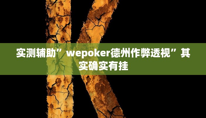 实测辅助”wepoker德州作弊透视”其实确实有挂