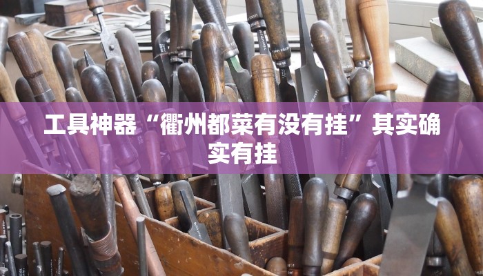工具神器“衢州都菜有没有挂”其实确实有挂