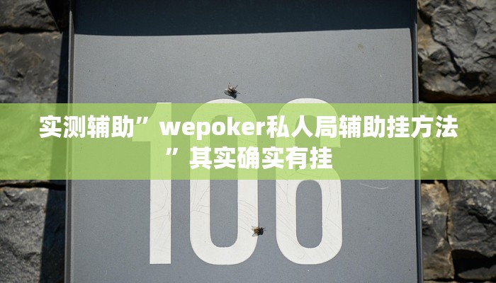 实测辅助”wepoker私人局辅助挂方法”其实确实有挂