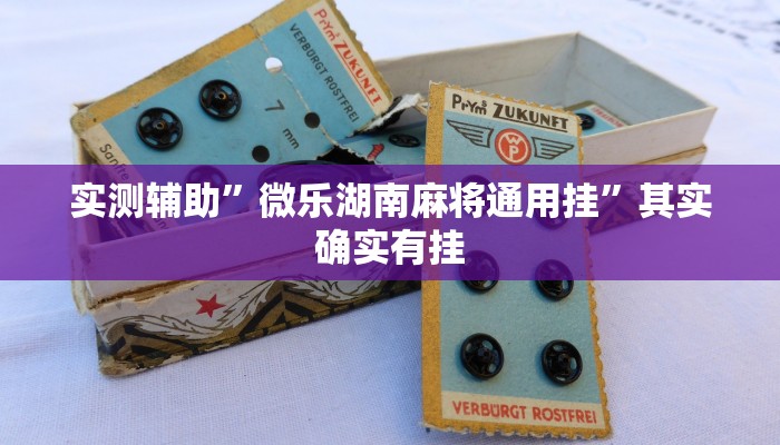 实测辅助”微乐湖南麻将通用挂”其实确实有挂