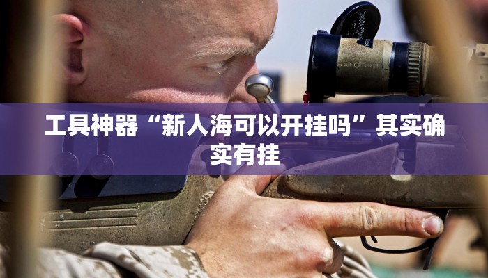 工具神器“新人海可以开挂吗”其实确实有挂