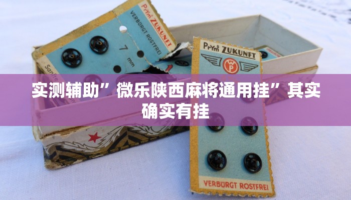 实测辅助”微乐陕西麻将通用挂”其实确实有挂