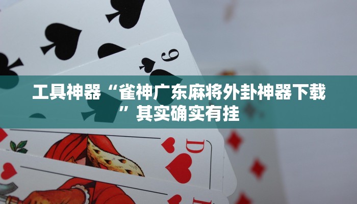 工具神器“雀神广东麻将外卦神器下载”其实确实有挂