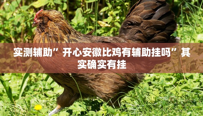 实测辅助”hhpoker辅助软件”其实确实有挂
