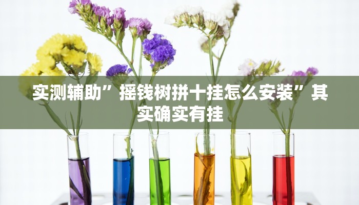实测辅助”摇钱树拼十挂怎么安装”其实确实有挂