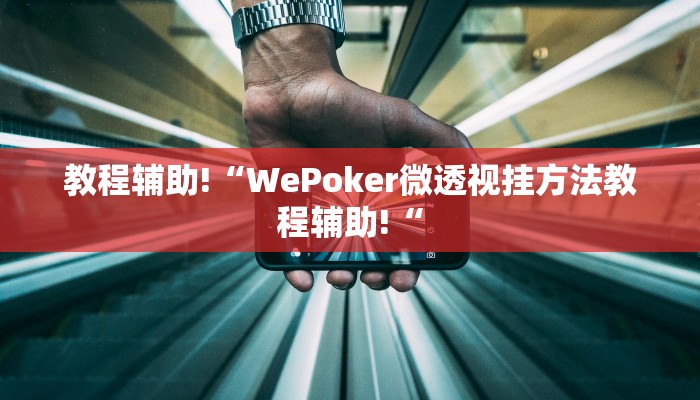 教程辅助!“WePoker微透视挂方法教程辅助!“