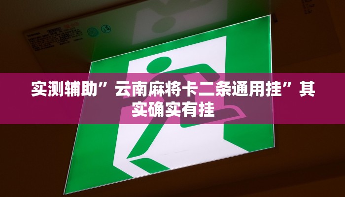 实测辅助”云南麻将卡二条通用挂”其实确实有挂