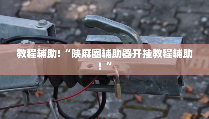 教程辅助!“陕麻圈辅助器开挂教程辅助!“