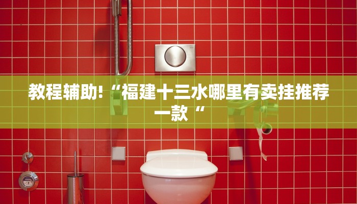 教程辅助!“福建十三水哪里有卖挂推荐一款“