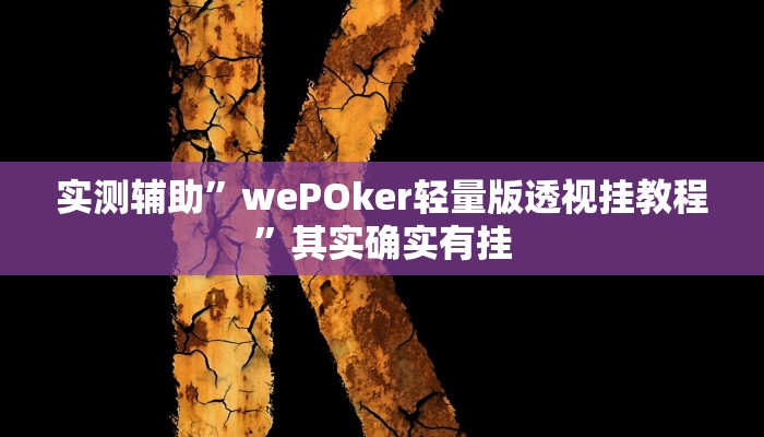 实测辅助”wePOker轻量版透视挂教程”其实确实有挂