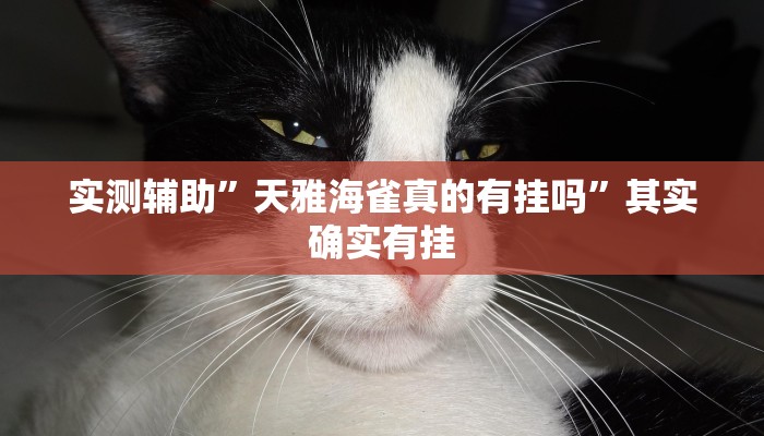 实测辅助”天雅海雀真的有挂吗”其实确实有挂
