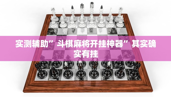 实测辅助”斗棋麻将开挂神器”其实确实有挂