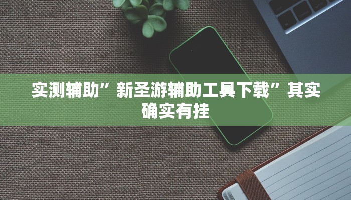 实测辅助”新圣游辅助工具下载”其实确实有挂