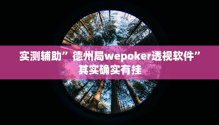 实测辅助”德州局wepoker透视软件”其实确实有挂