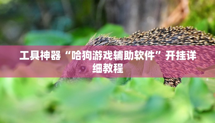 工具神器“哈狗游戏辅助软件”开挂详细教程
