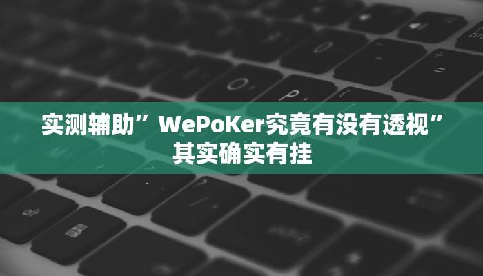 实测辅助”WePoKer究竟有没有透视”其实确实有挂