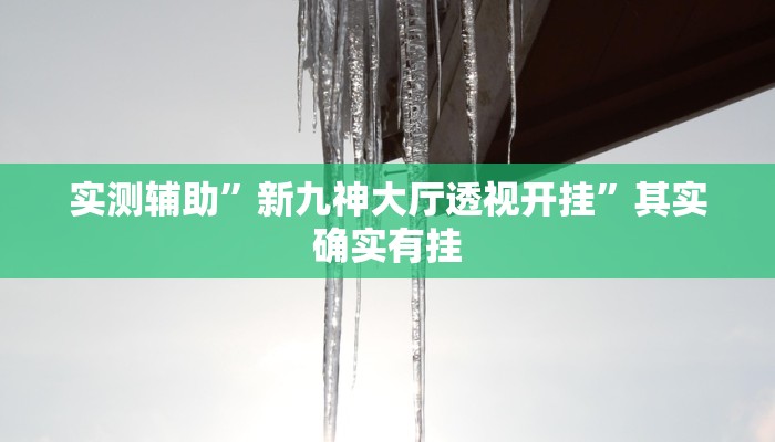 实测辅助”新九神大厅透视开挂”其实确实有挂