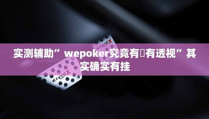 实测辅助”wepoker究竟有沒有透视”其实确实有挂