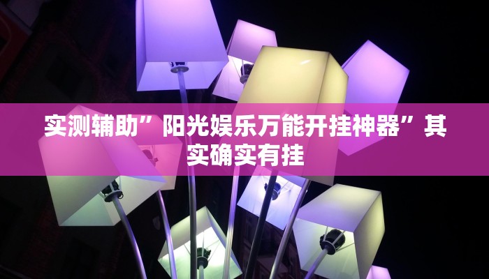 实测辅助”阳光娱乐万能开挂神器”其实确实有挂