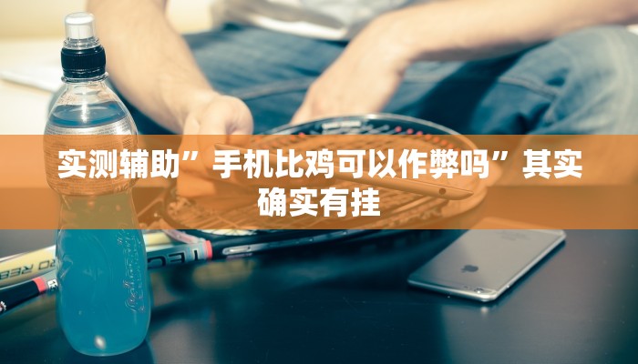 实测辅助”手机比鸡可以作弊吗”其实确实有挂