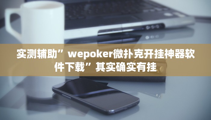 实测辅助”wepoker微扑克开挂神器软件下载”其实确实有挂