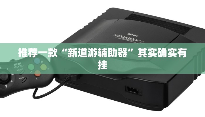 推荐一款“新道游辅助器”其实确实有挂