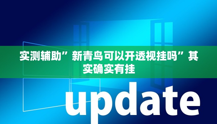 实测辅助”新青鸟可以开透视挂吗”其实确实有挂