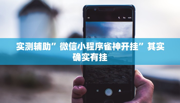 实测辅助”微信小程序雀神开挂”其实确实有挂