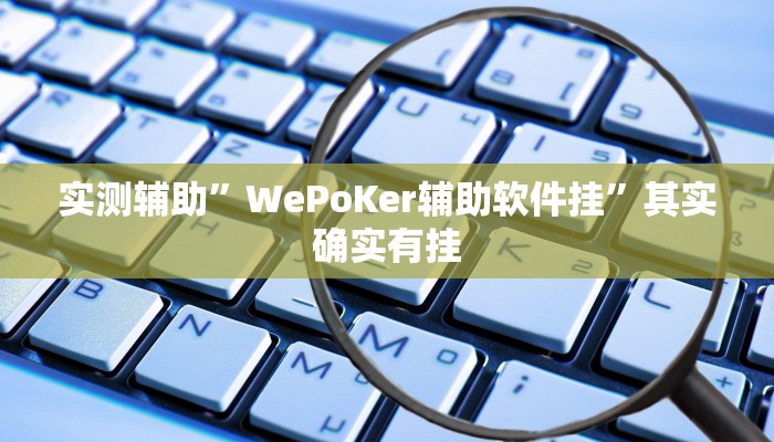 实测辅助”WePoKer辅助软件挂”其实确实有挂