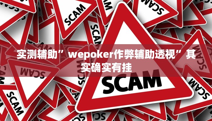实测辅助”wepoker作弊辅助透视”其实确实有挂