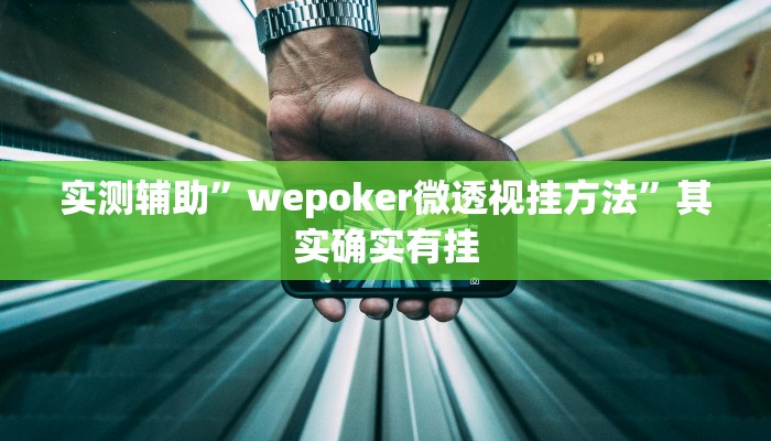 实测辅助”wepoker微透视挂方法”其实确实有挂