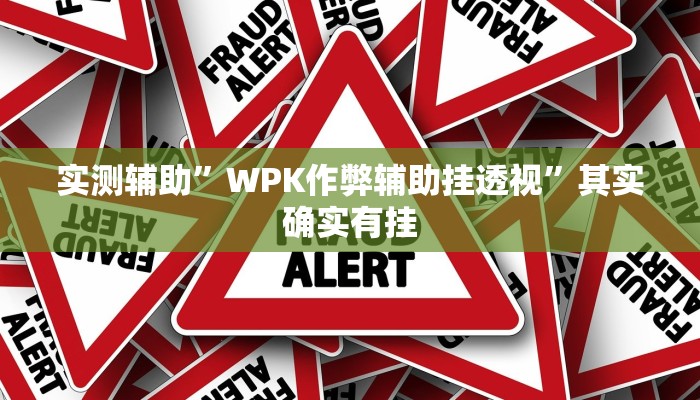 实测辅助”WPK作弊辅助挂透视”其实确实有挂