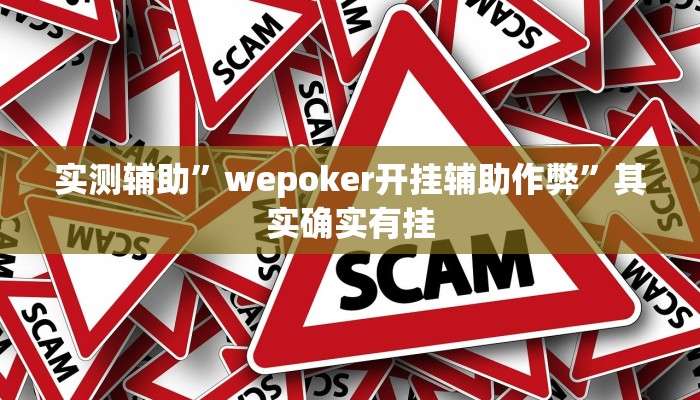 实测辅助”wepoker开挂辅助作弊”其实确实有挂