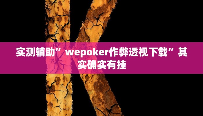 实测辅助”新天道透视挂下载”其实确实有挂