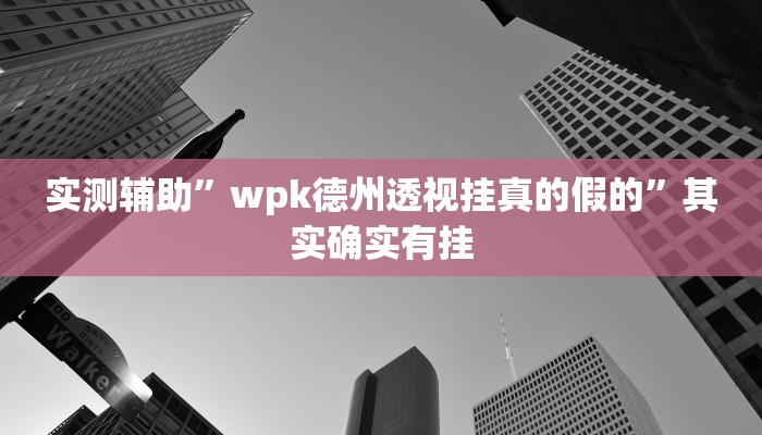实测辅助”wpk德州透视挂真的假的”其实确实有挂