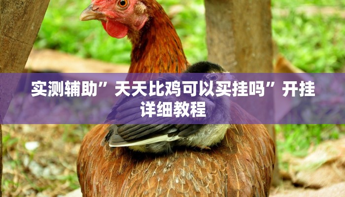 实测辅助”天天比鸡可以买挂吗”开挂详细教程