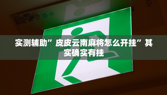 实测辅助”皮皮云南麻将怎么开挂”其实确实有挂
