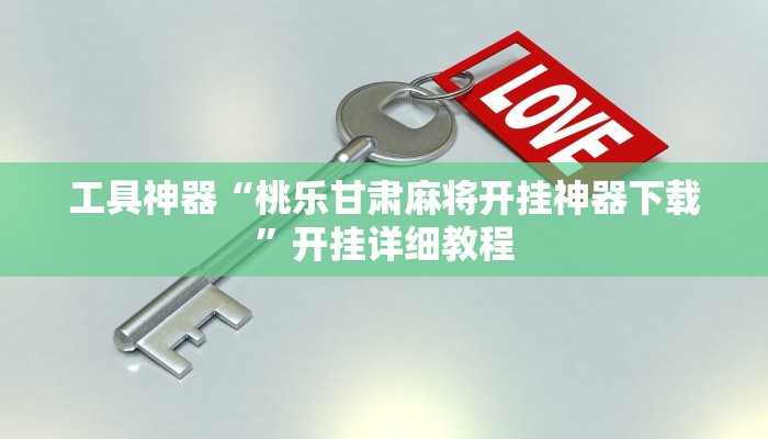 工具神器“桃乐甘肃麻将开挂神器下载”开挂详细教程