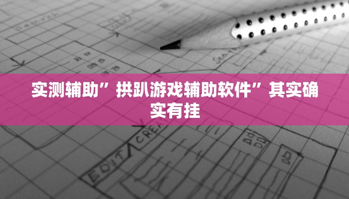 实测辅助”拱趴游戏辅助软件”其实确实有挂